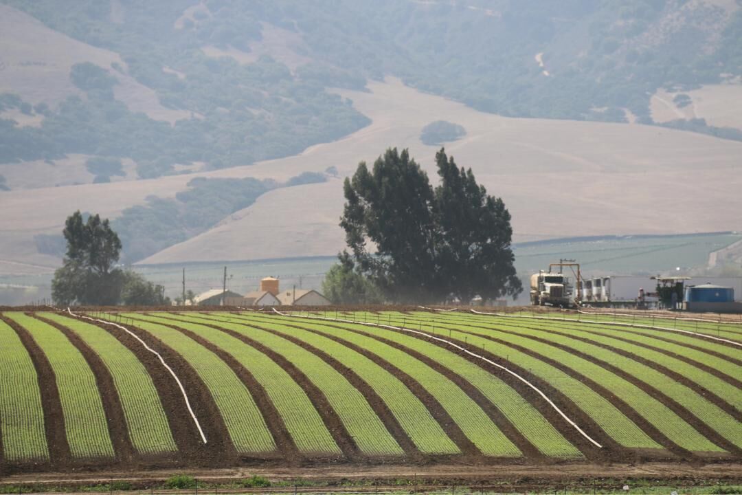 California